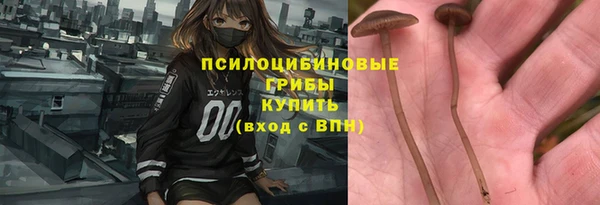 кокс Дмитриев