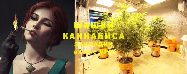 кокс Дмитриев