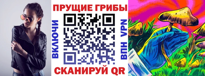 Псилоцибиновые грибы Psilocybe  Купить где  Заполярный 